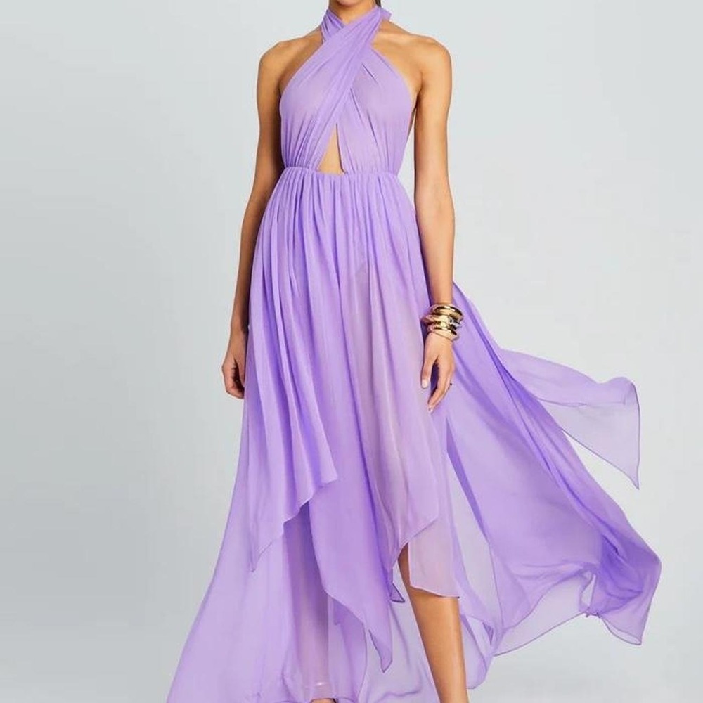 Retrofete Ina Dress in Wisteria size Small NWT